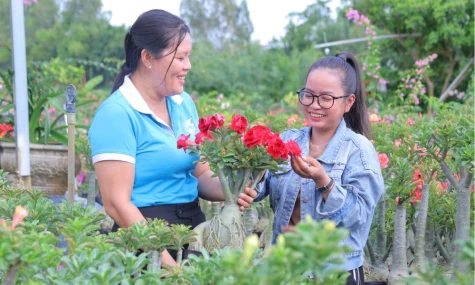Xã Tam Nông:  Đổi thay thiết thực từ tín dụng chính sách