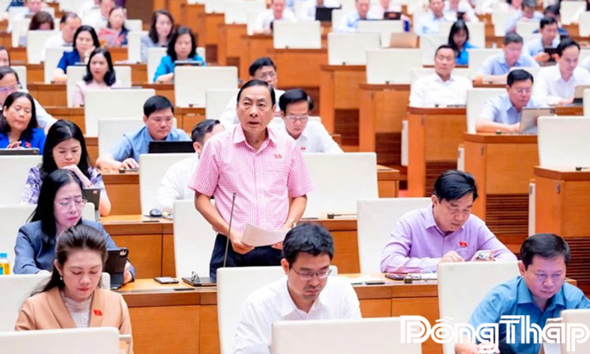 Đại biểu Quốc hội tỉnh Đồng Tháp kiến nghị nhiều vấn đề trọng tâm tại nghị trường