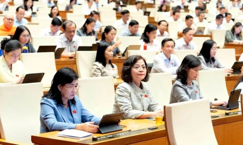 Đại biểu Quốc hội tỉnh Đồng Tháp kiến nghị nhiều vấn đề thiết thực cho các dự án luật