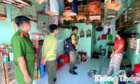 Kiểm tra và tuyên truyền bảo vệ động vật hoang dã tại xã Vĩnh Hựu