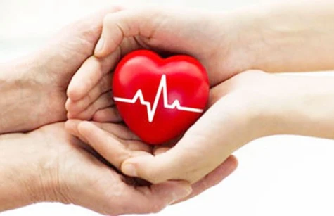 Đồng Tháp chủ động rà soát, giải thích việc lấy ý kiến học sinh về Dự thảo Luật