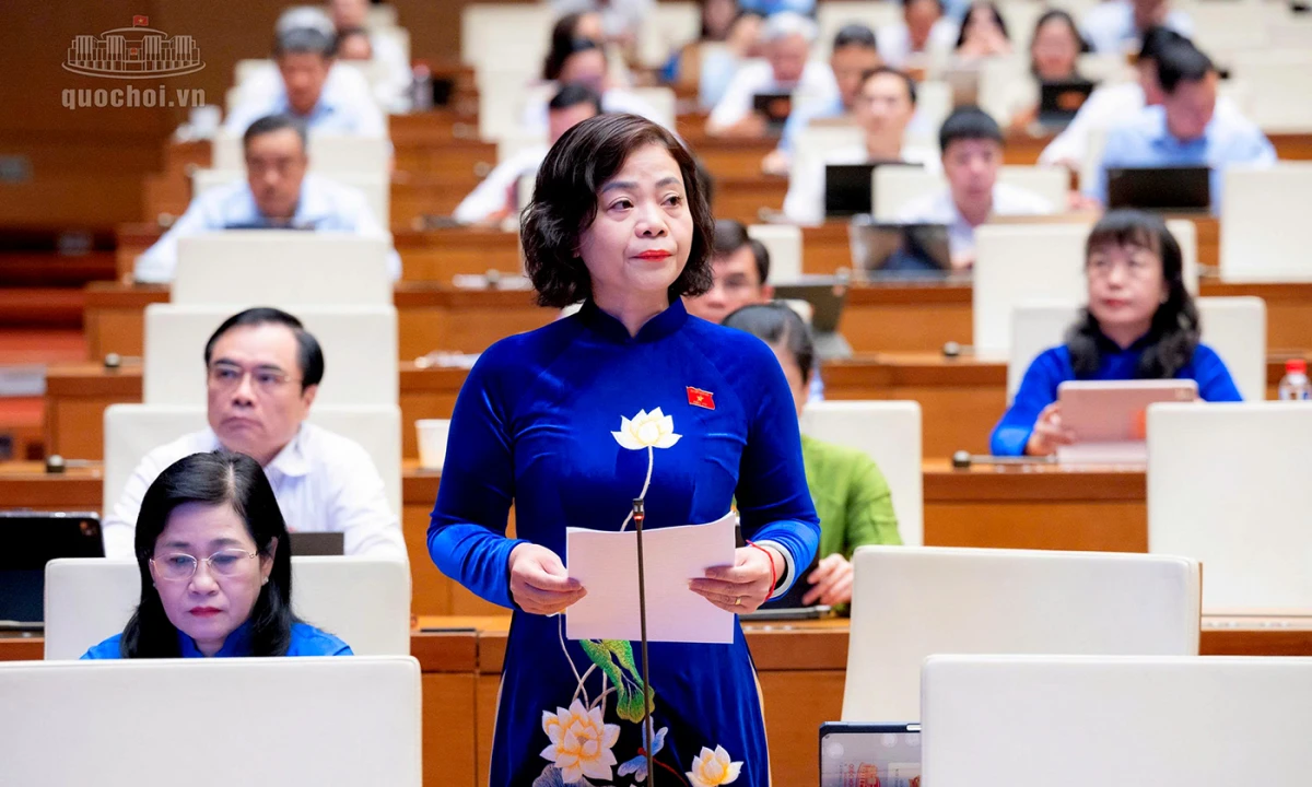 Đại biểu Quốc hội tỉnh Đồng Tháp đóng góp nhiều ý kiến thiết thực hoàn thiện Luật Hỗ trợ doanh nghiệp nhỏ và vừa
