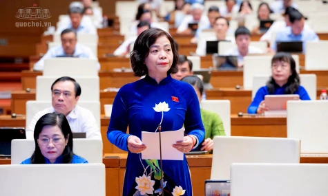 Đại biểu Quốc hội tỉnh Đồng Tháp đóng góp nhiều ý kiến thiết thực hoàn thiện Luật Hỗ trợ doanh nghiệp nhỏ và vừa