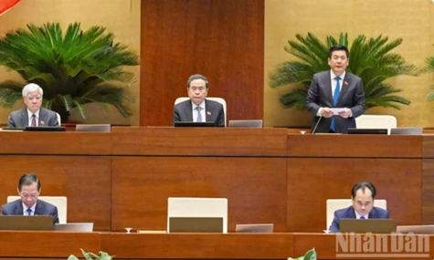 Sửa Luật Đất đai: Bảo đảm quyền lợi người dân từ thu hồi đất đến giao dịch