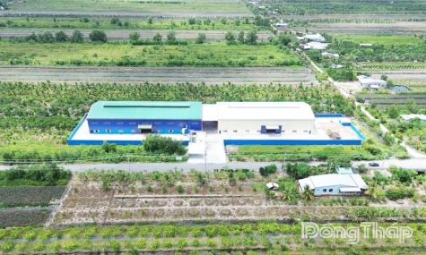 Xã Tân Phước 2: Tạo đà bứt phá trong phát triển kinh tế - xã hội