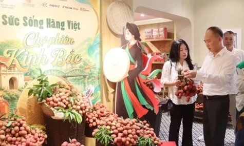 Khai thác tốt thị trường nông sản trong nước