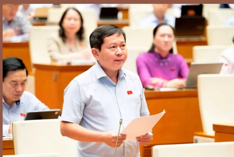 Đại biểu Quốc hội tỉnh Đồng Tháp thảo luận về tình hình phát triển kinh tế - xã hội