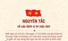 [Infographic] Nguyên tắc về xác định vị trí việc làm